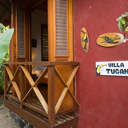 Villa Toucan With National Geographic Views Puerto Viejo de Talamanca Eksteriør billede