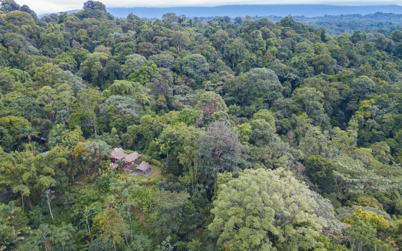 Villa Toucan With National Geographic Views Puerto Viejo de Talamanca Eksteriør billede